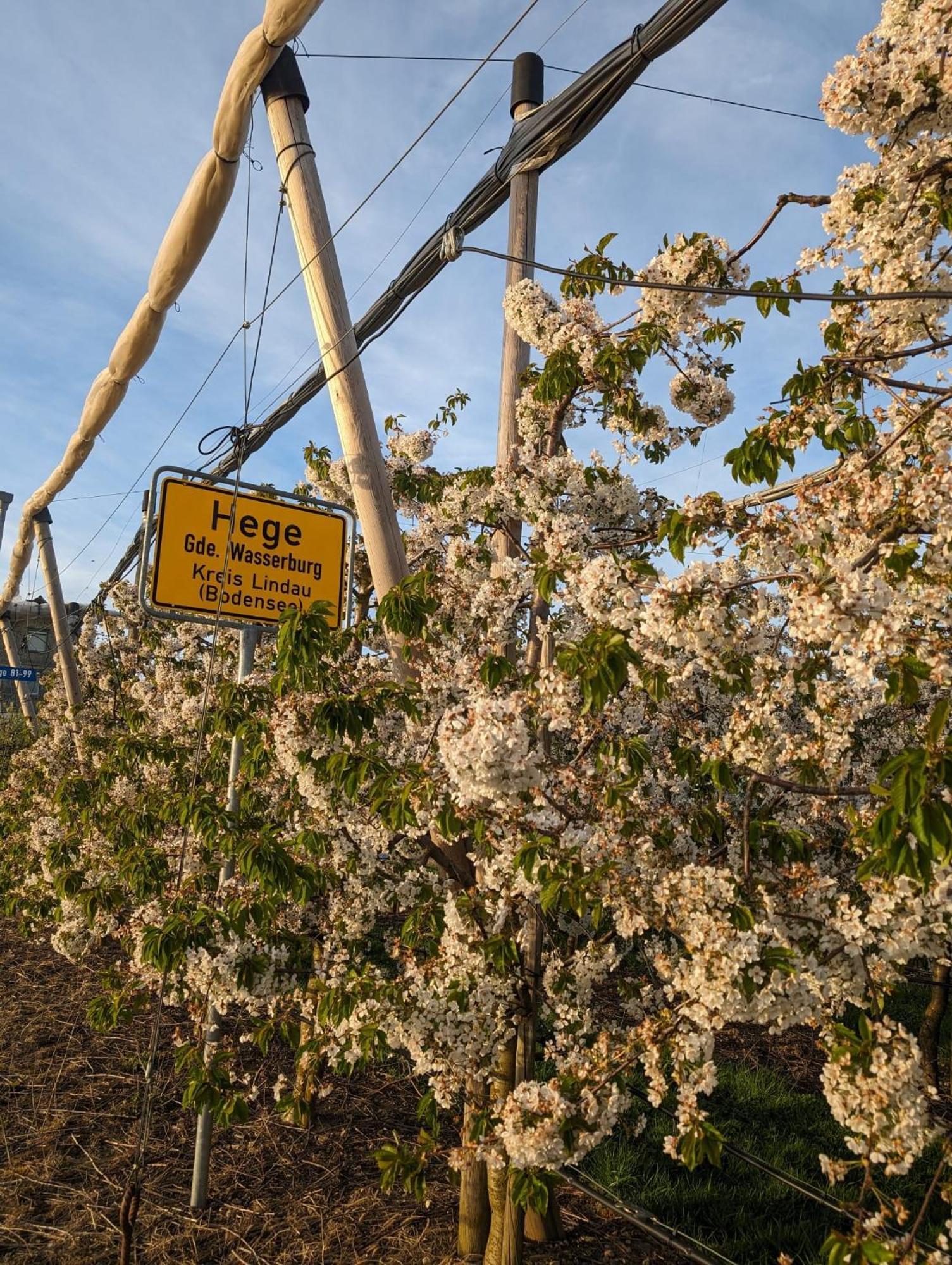 Kinderlachen Wasserburg Kültér fotó