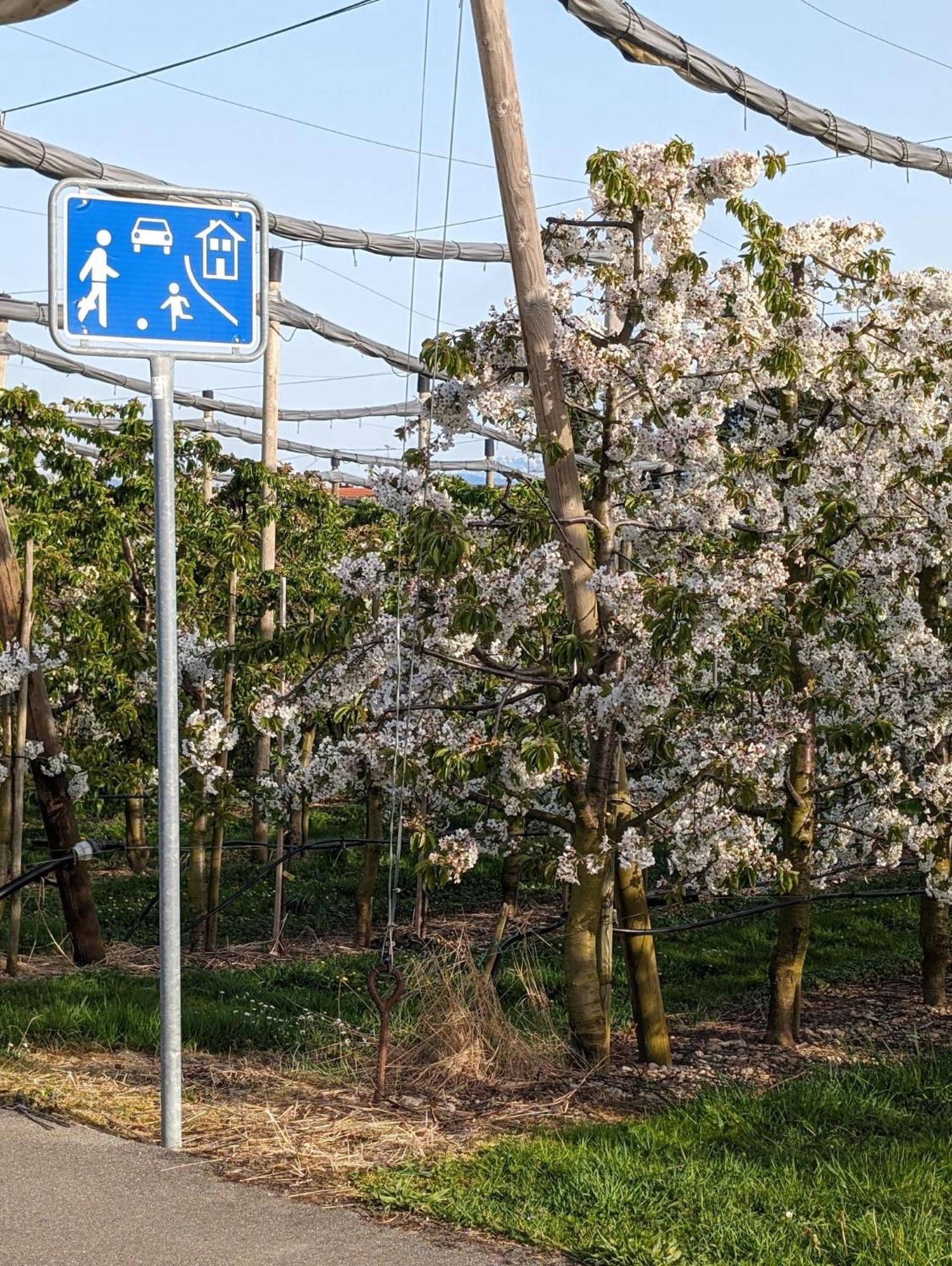 Kinderlachen Wasserburg Kültér fotó